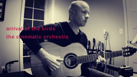 The Cinematic Orchestra: Arrival of the Birds | fingerstyle guitar